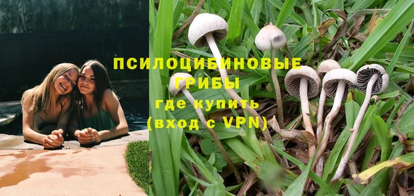 кокс Баксан